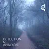 Danny Griffiths - Detection N Analysis